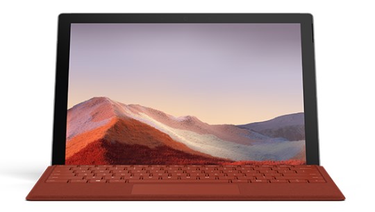 振安清洁和维护 Surface